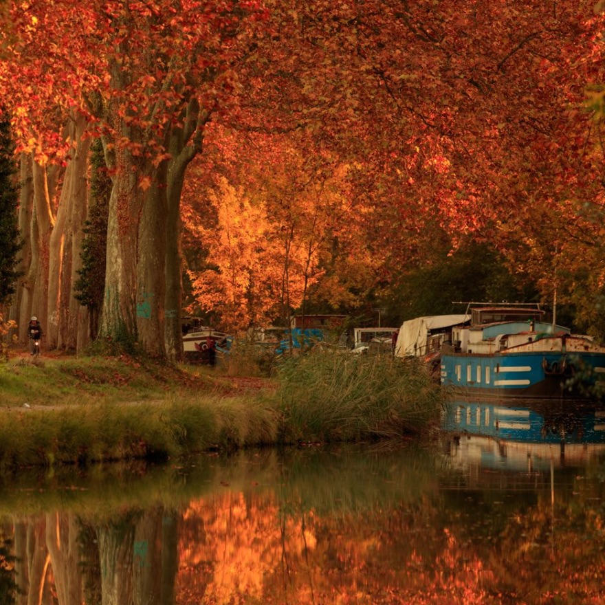 balades-automne-occitanie-canal-du-midi.