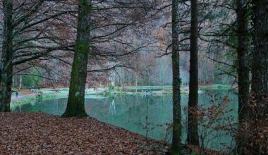 lac-de-bethmale-en-automne