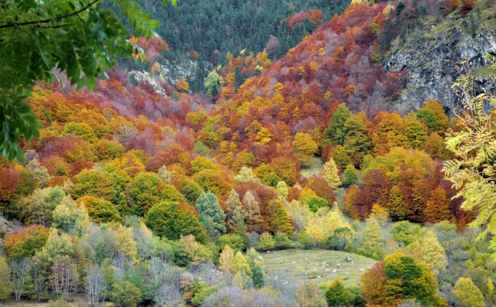 Randonnées-d-Automne-en-Occitanie